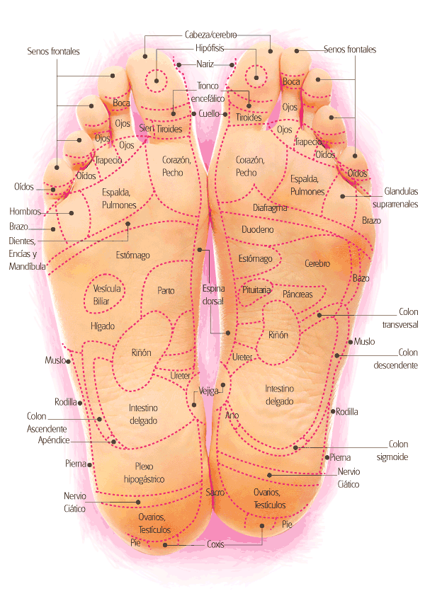 reflexologia