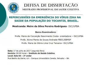 Cartaz Defesa de Dissertação - Meire.Pereira.Rodrigues.Julh.2017