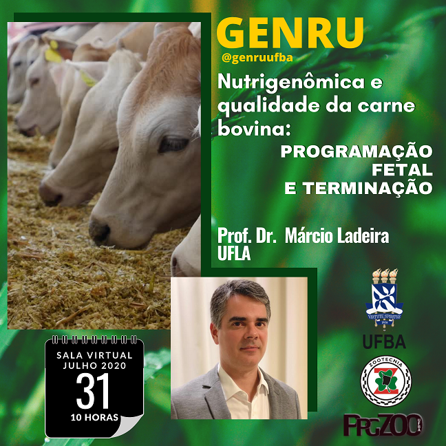 GENRU Divulgação 31 07